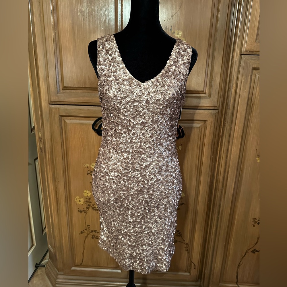 Brand new Romeo and Juliet sequence dress